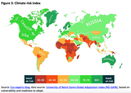 Climate risk index