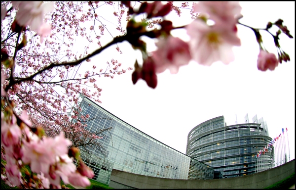 European Parliament Spring