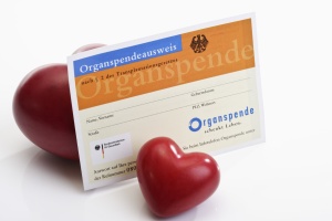 Organ donor card with two hearts